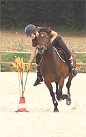 les pony games